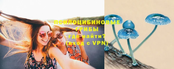 соль ск Аркадак