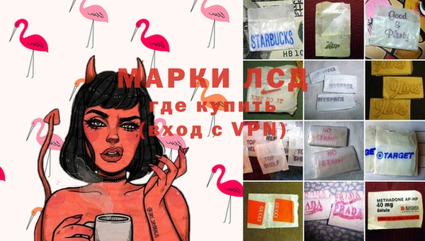 дмт Арсеньев