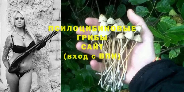 сатива Алексеевка