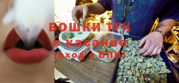 дмт Арсеньев