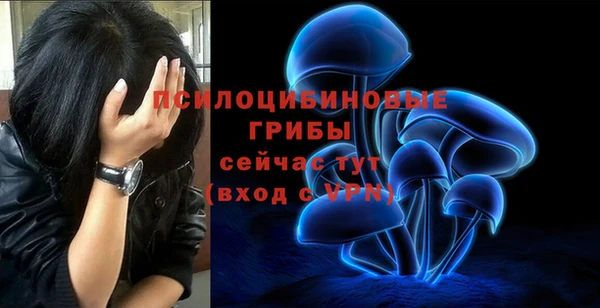 соль ск Аркадак